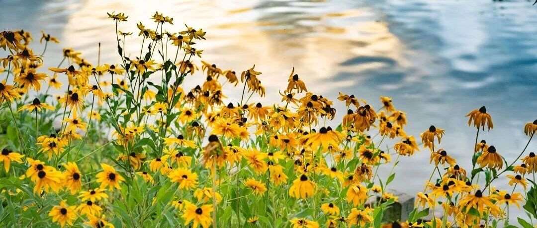 你以为你要面对343万人？其实根本不是