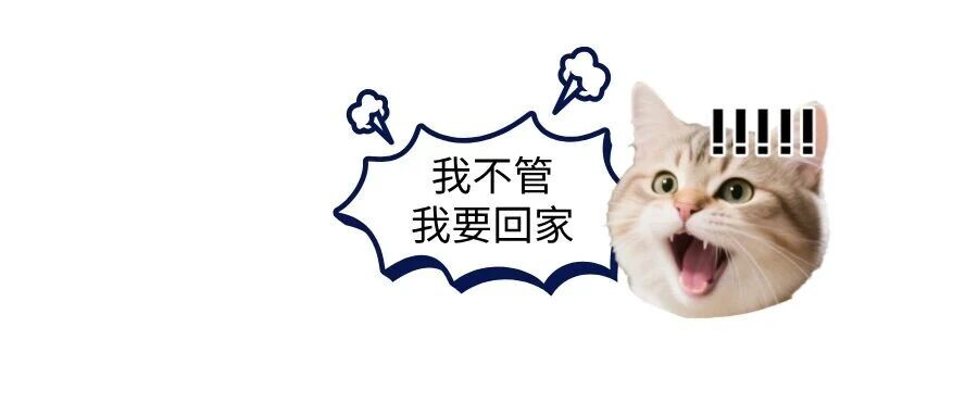 留校VS回家：这个暑假，到底谁在假努力？